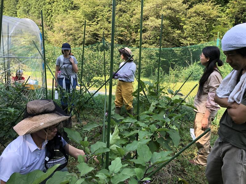 【開催レポ】第4回「畑ひろば」は秋冬野菜の植付け教室でした！